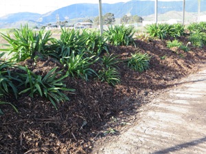 Mulch Bank WP Mulch Bank WP